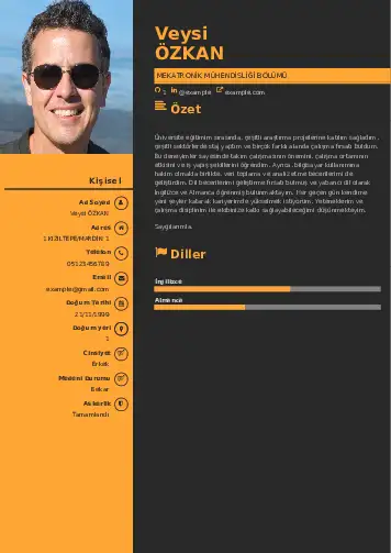 Mekatronik Mühendisliği Cv Örnekleri cv indir